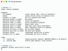View of a terminal emulator showcasing the flags and commands of Restray's CLI