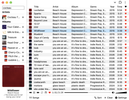 tinysub's running on MacOS through Chromium