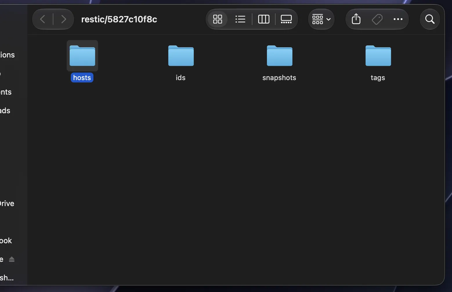 Mount repositories (MacOS/Linux only)