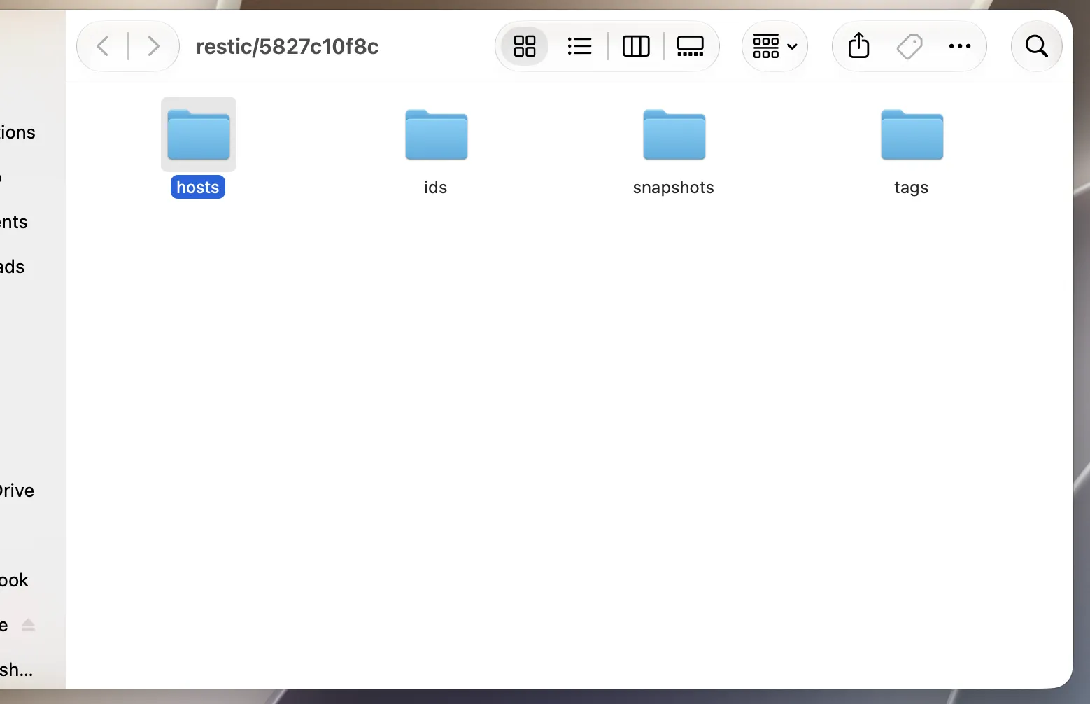 Mount repositories (MacOS/Linux only)