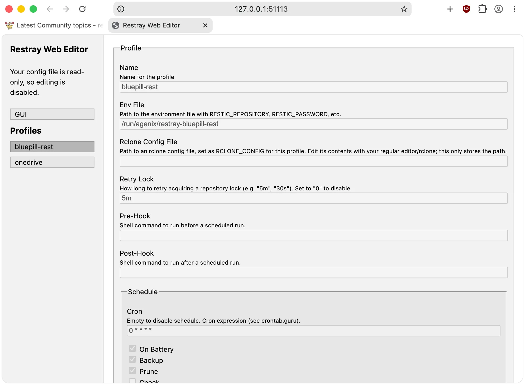 A screenshot of restray's web config editor